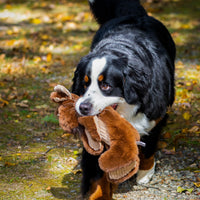 Maple Moose X-Brace™ Durable Plush Dog Toy
