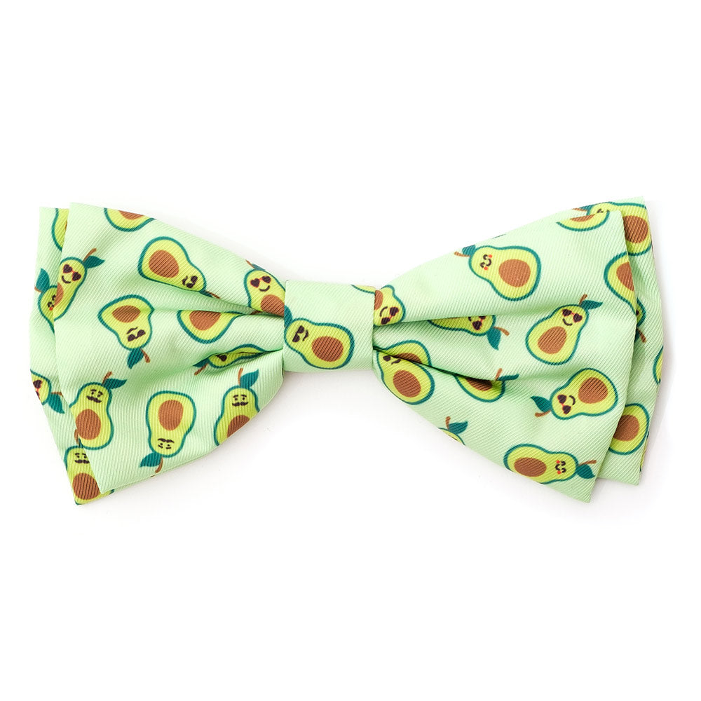 Avocados Collection Neckwear Accessories