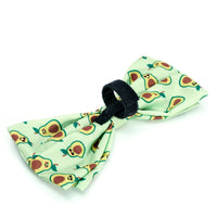 Avocados Collection Neckwear Accessories