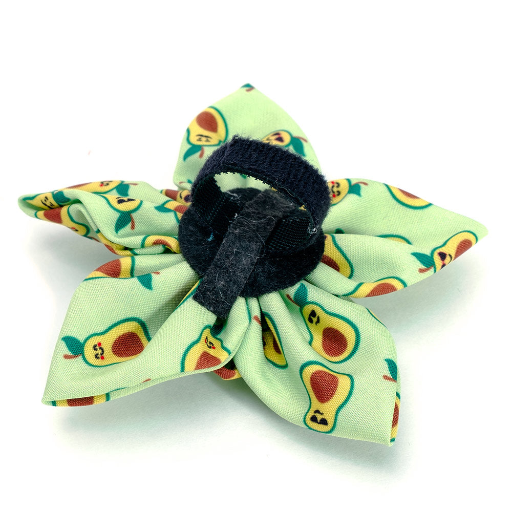 Avocados Collection Neckwear Accessories