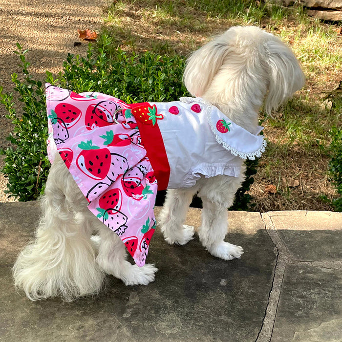 Strawberry Picnic Dress with Matching Leash