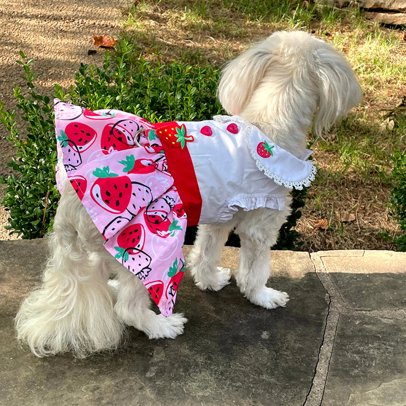 Strawberry Picnic Dress with Matching Leash