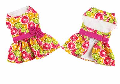 Citrus Slice Harness Dress with Leash