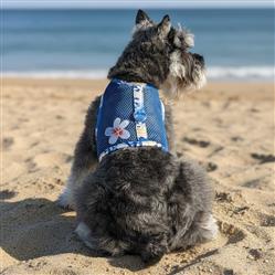 Catching Waves Cool Mesh Harness with Leash