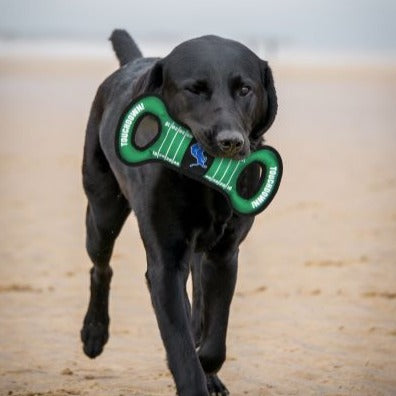 Dog toy outlet gift set