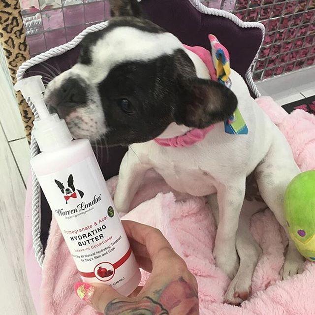 Hydrating Butter - For Skin & Coat - Professional Size