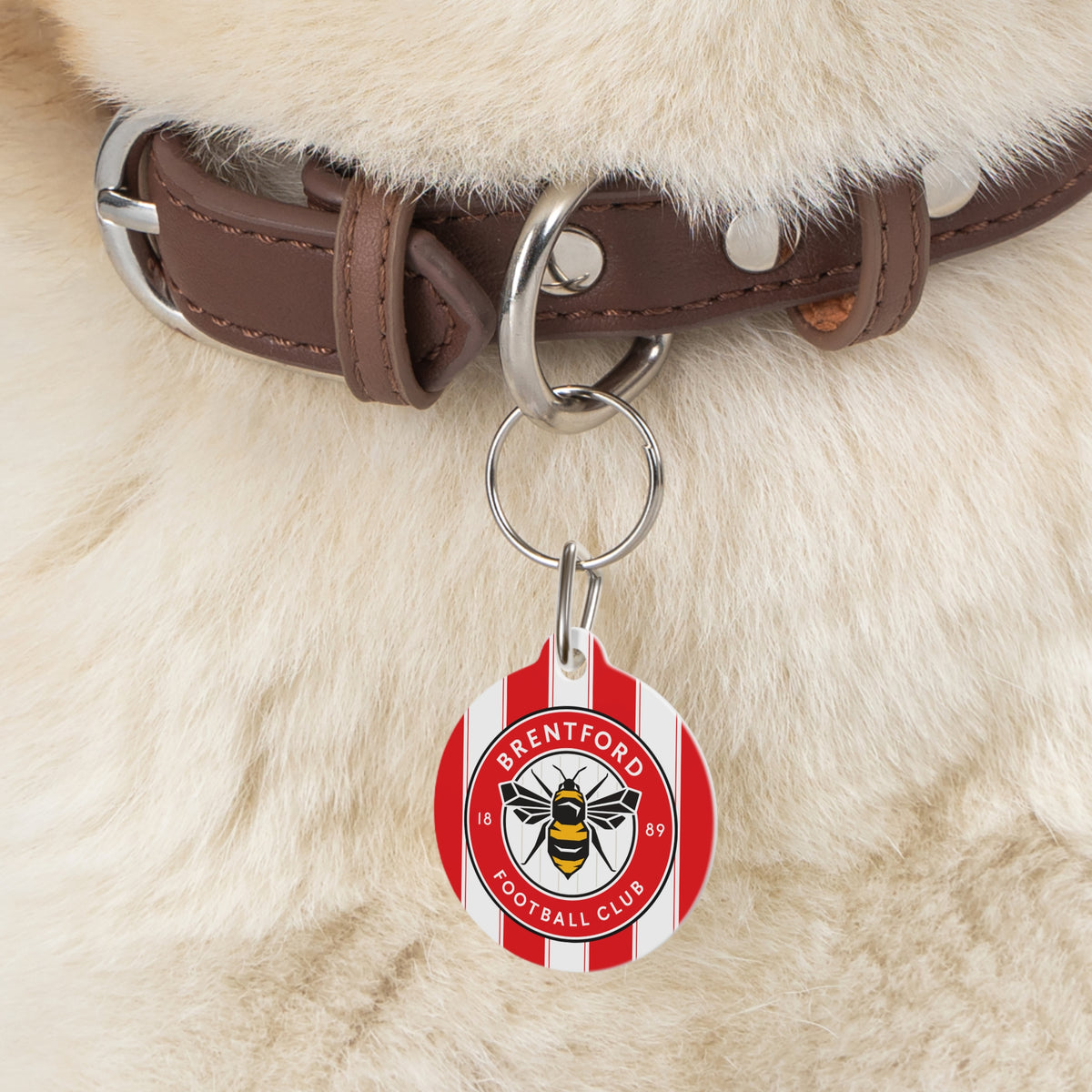 Brentford FC 25/26 Home Kit-Inspired Collar Charm
