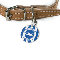 Brighton & Hove Albion FC 25/26 Home Kit-Inspired Collar Charm