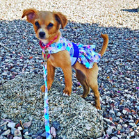 Purple Butterfly Harness Dress with Leash
