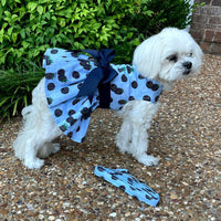 Blackberries Harness Dress with Leash