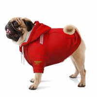 Arsenal FC 25/26 Home Kit inspired Pet Zip Hoodies
