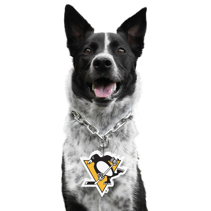 Pittsburgh Penguins Pet Fan Chain