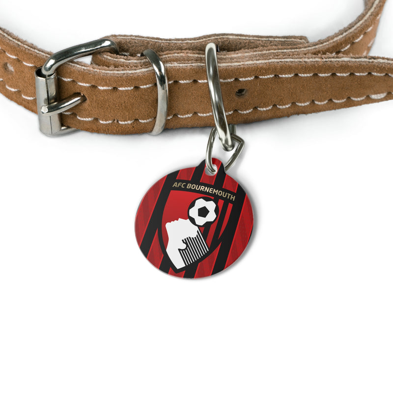 AFC Bournemouth 25/26 Home Inspired Collar Charm