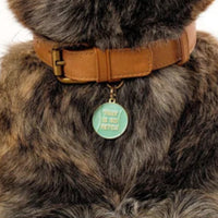That is So Fetch Pet ID Tag