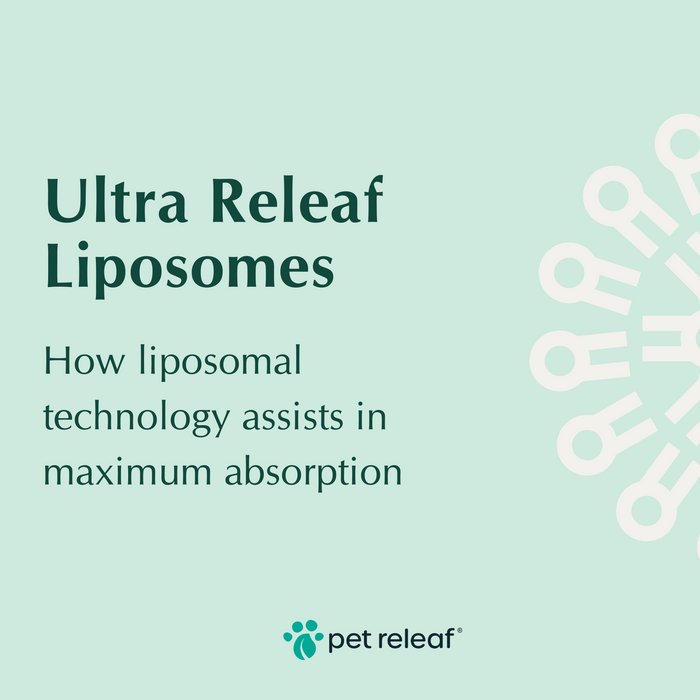 Liposome Ultra Releaf 300mg Hemp Oil