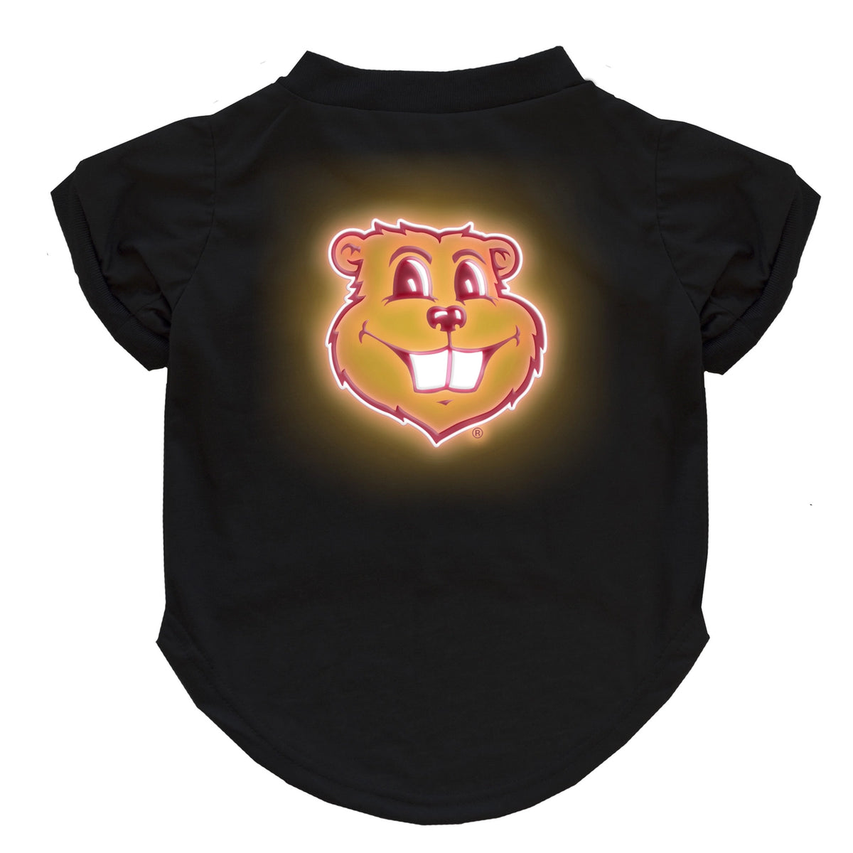 MN Golden Gophers Neon Tee Shirt