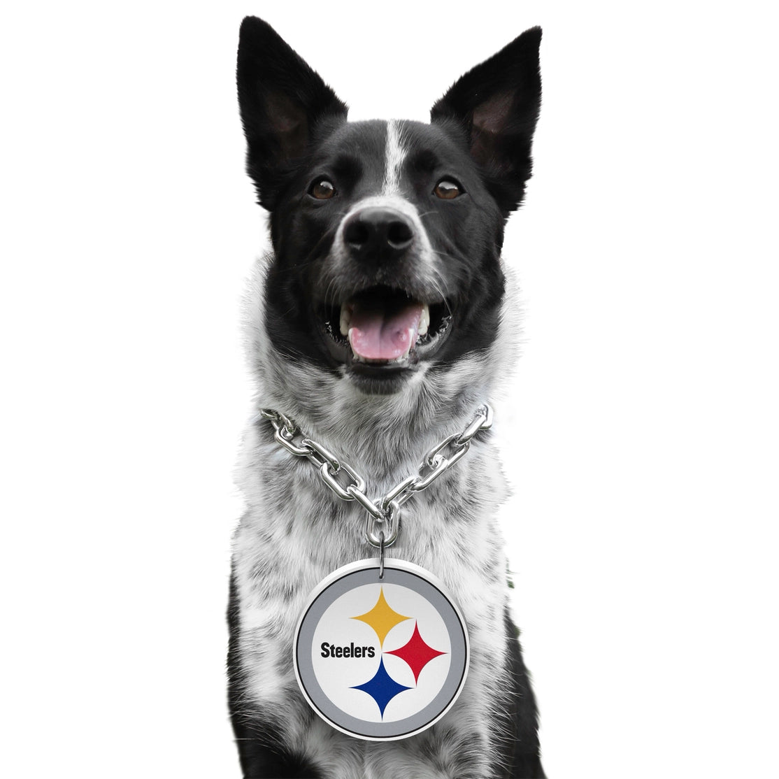 Pittsburgh Steelers Pet Fan Chain