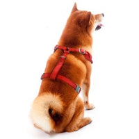 AZ Wildcats Velvet Harness