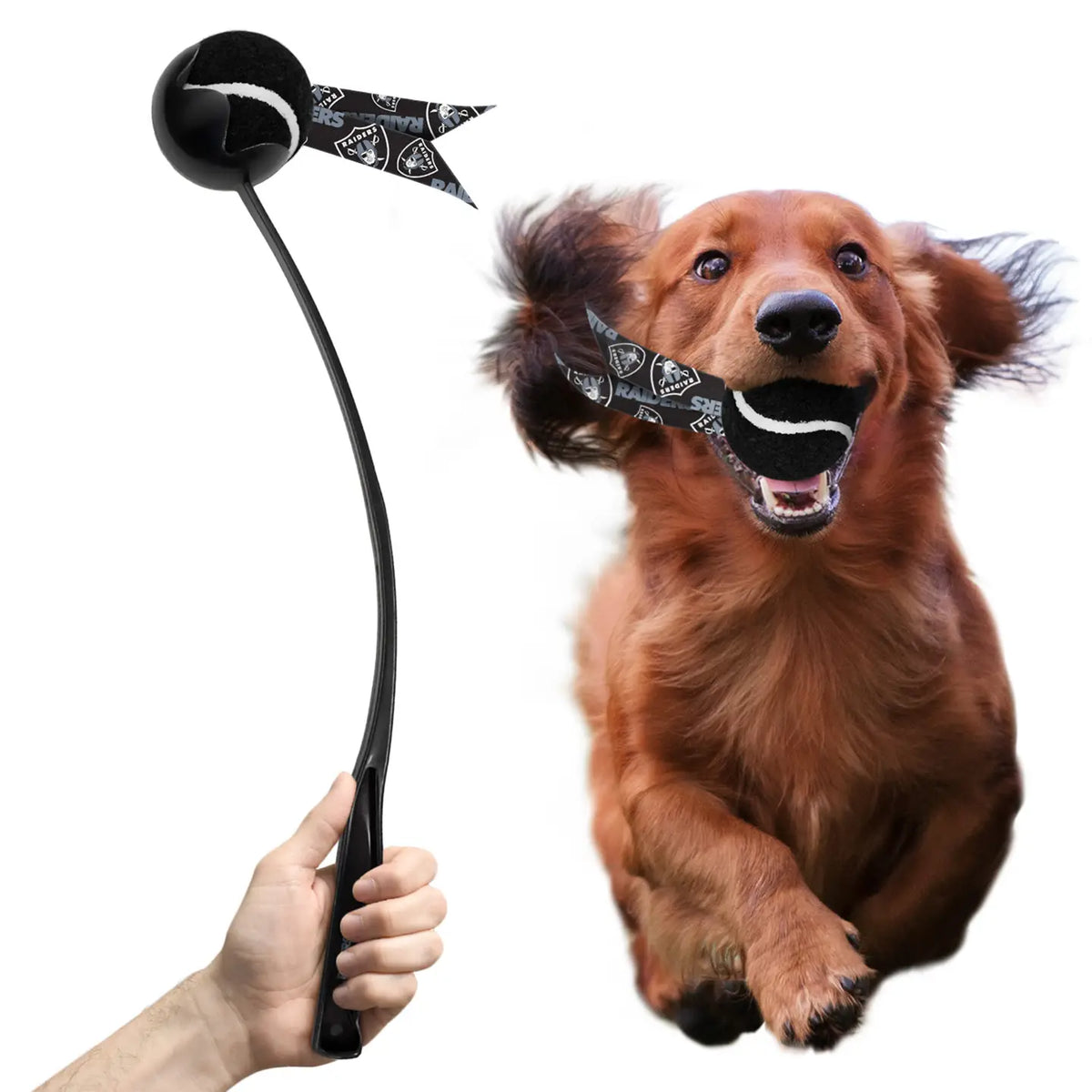 Las Vegas Raiders Pet Ball Launcher Toy