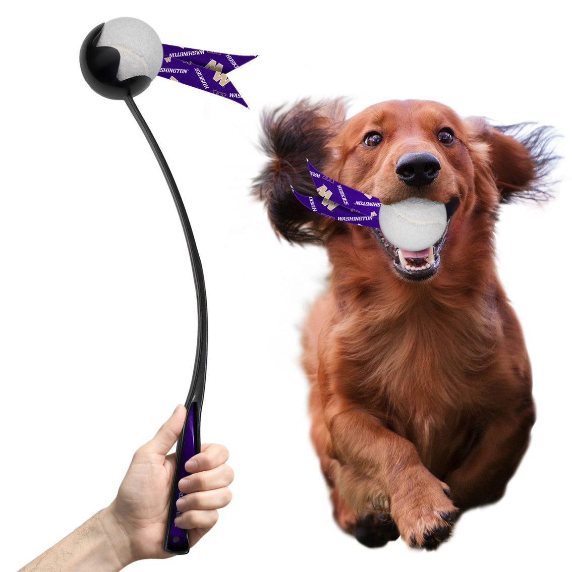 WA Huskies Pet Ball Launcher Toy