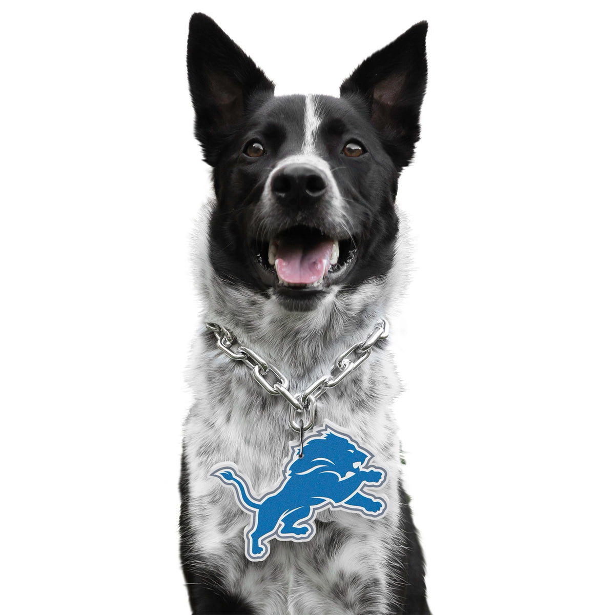 Detroit Lions Pet Fan Chain