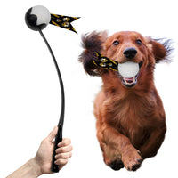 MO Tigers Pet Ball Launcher Toy