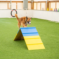 Better Sporting Dogs Dog Agility A-Frame – Arrives Fully Assembled