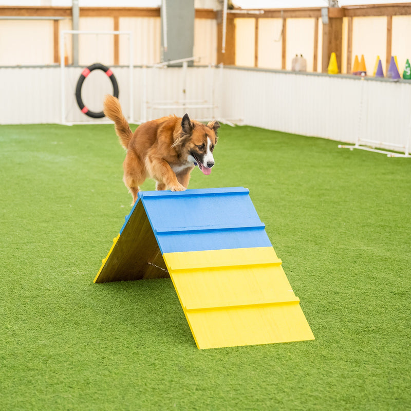 Better Sporting Dogs Dog Agility A-Frame – Arrives Fully Assembled