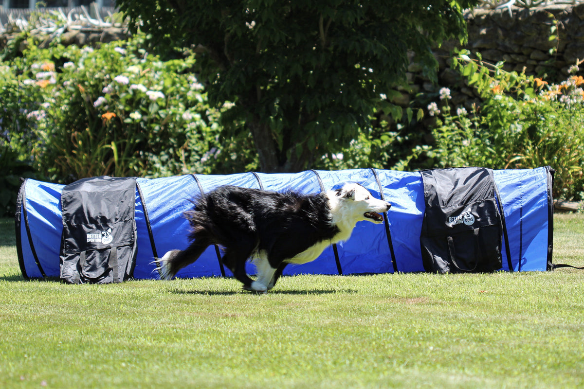 Better Sporting Dogs 3 Piece Dog Agility Equipment Set – with Jumps & Tunnel