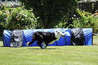 Better Sporting Dogs 3 Piece Dog Agility Equipment Set – with Jumps & Tunnel