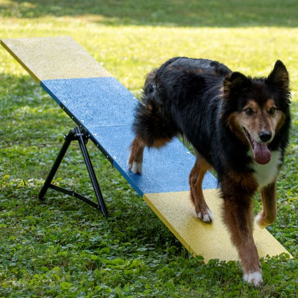 Better Sporting Dogs Practice See Saw – Fully Assembled Practice Teeter for Dog Agility Training