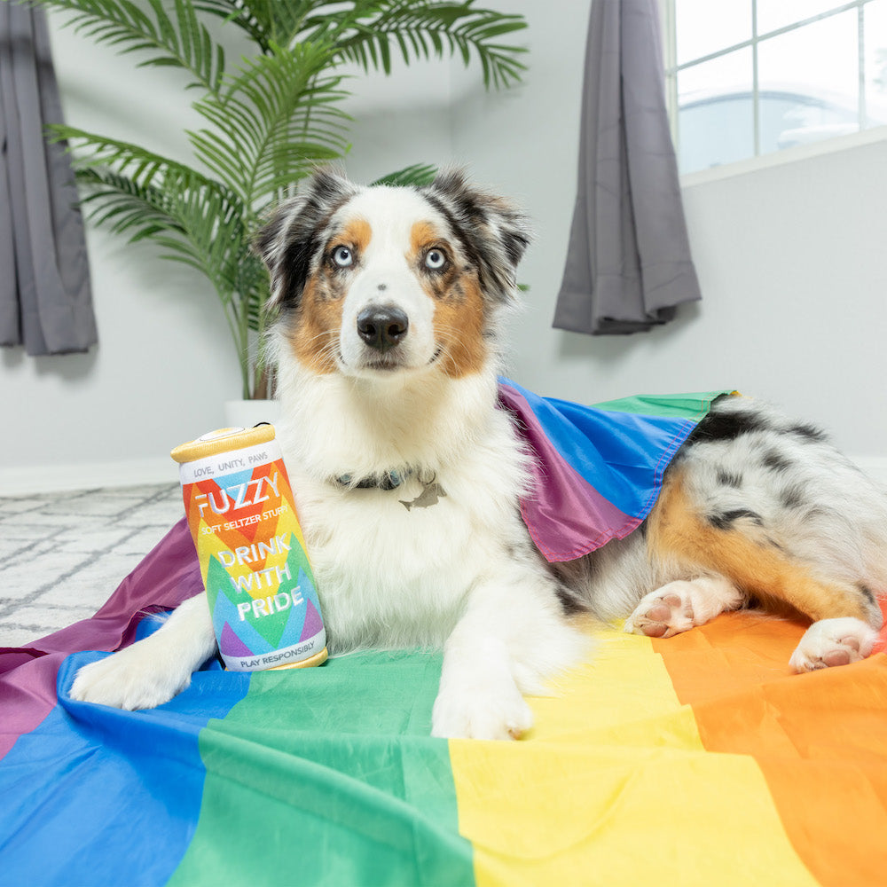 Fuzzy Soft Seltzer Can Plush Dog Toy