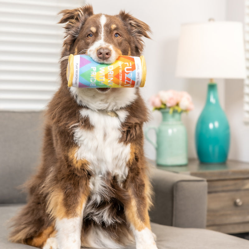 Fuzzy Soft Seltzer Can Plush Dog Toy