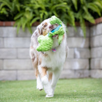 Gilly Gator Plush Slappies Dog Toy