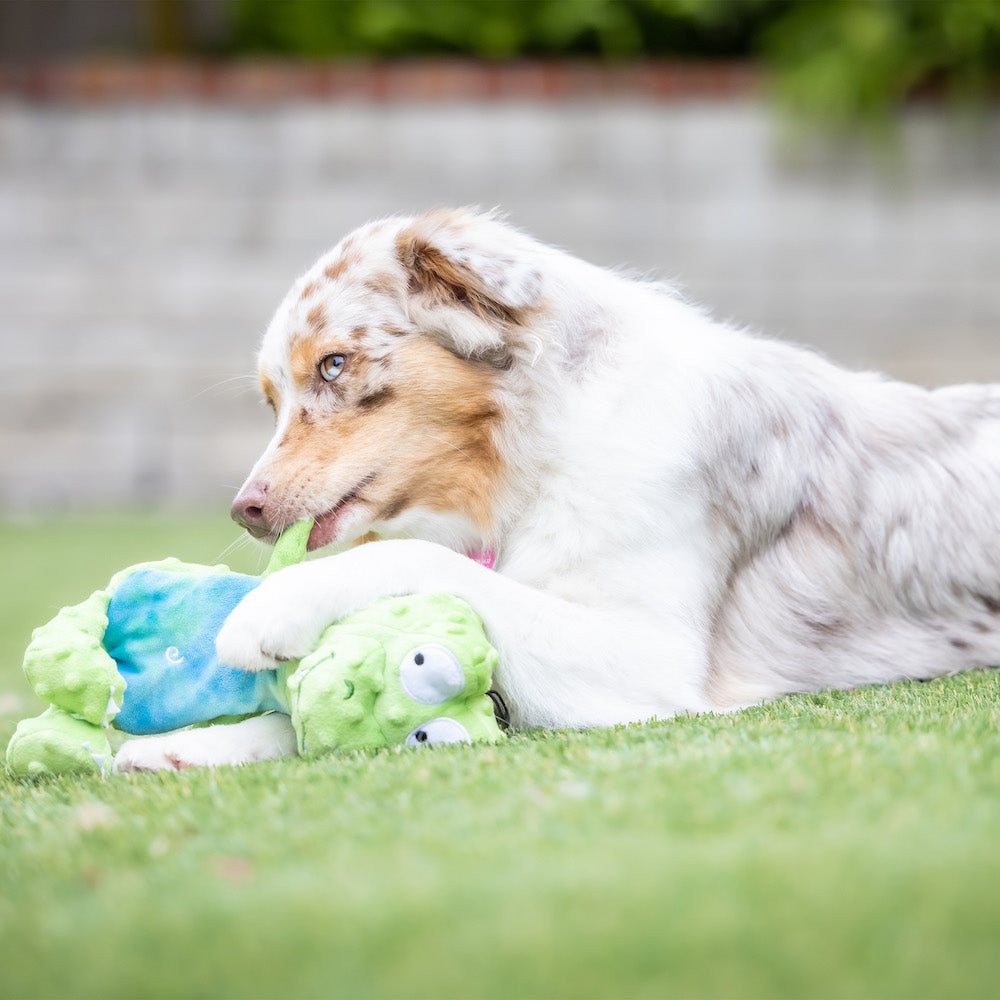 Gilly Gator Plush Slappies Dog Toy