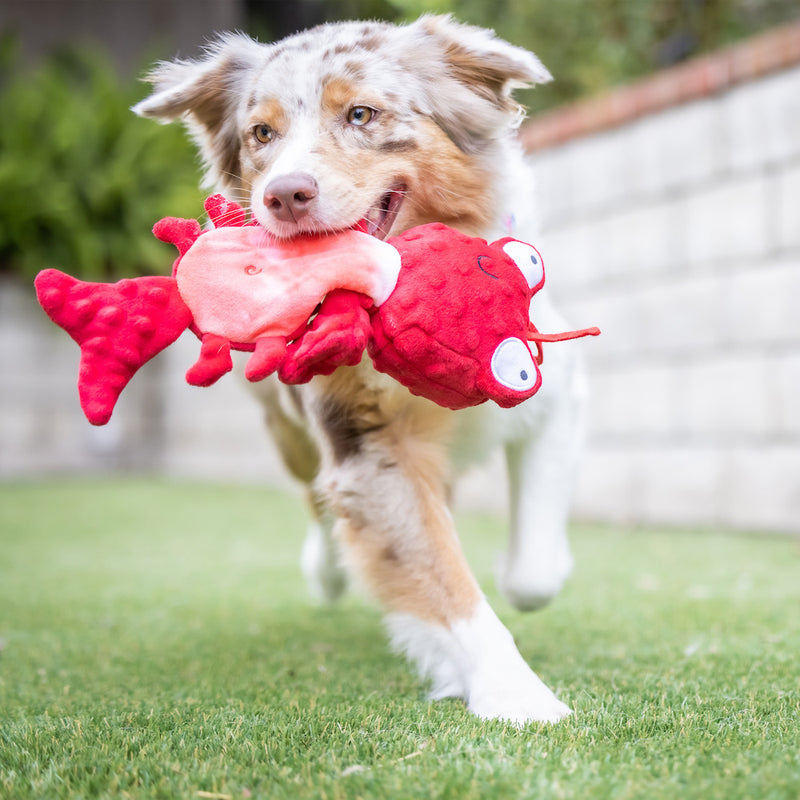 Claude Lobster Plush Slappies Dog Toy