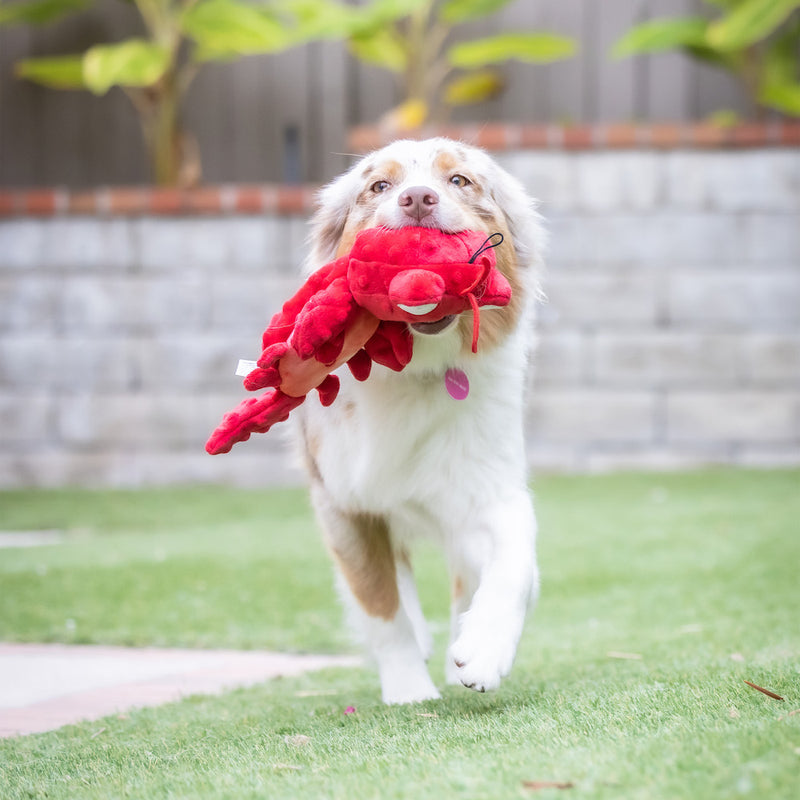 Claude Lobster Plush Slappies Dog Toy