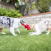 Claude Lobster Plush Slappies Dog Toy