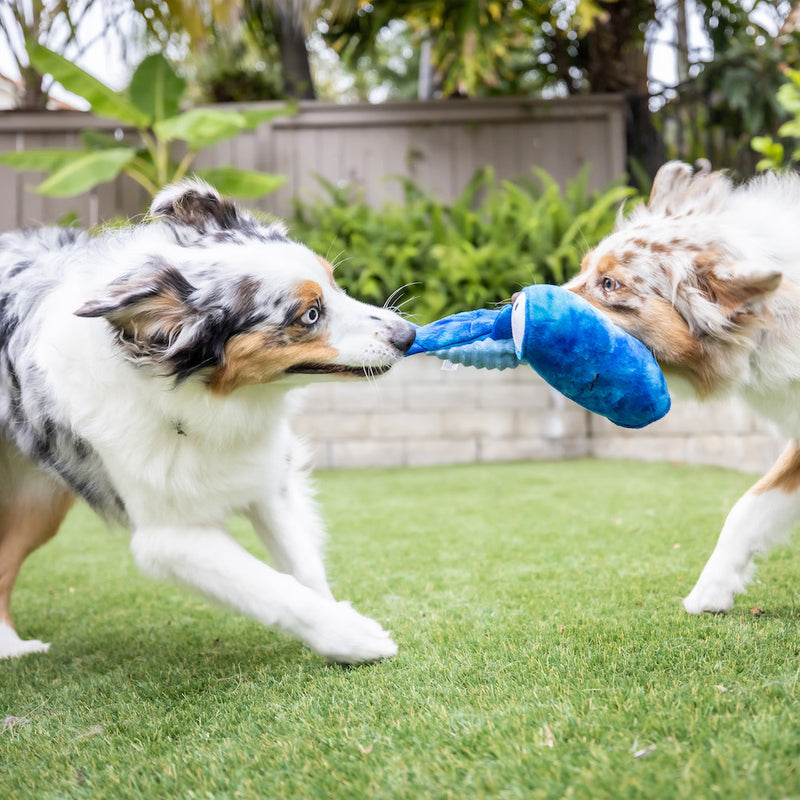 Jack Hammerhead Plush Slappies Dog Toy