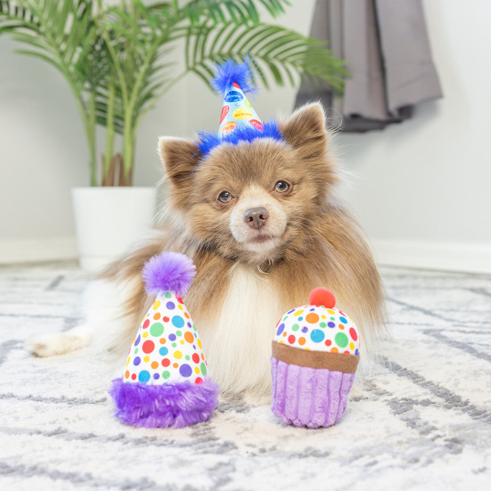 It's My Barkday Plush Tiny Tuff Dog Toy Set