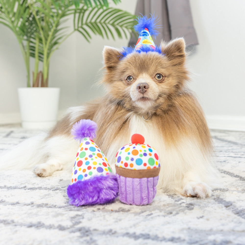 It's My Barkday Plush Tiny Tuff Dog Toy Set