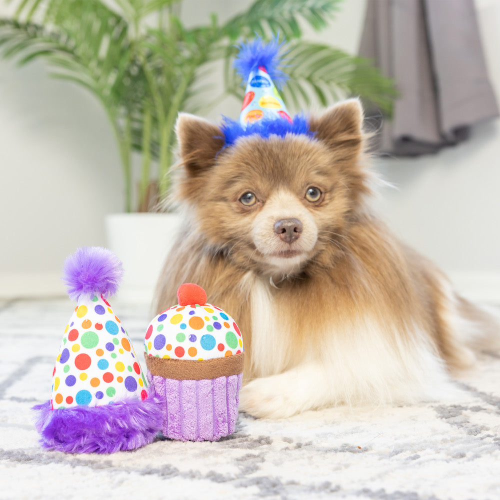 It's My Barkday Plush Tiny Tuff Dog Toy Set