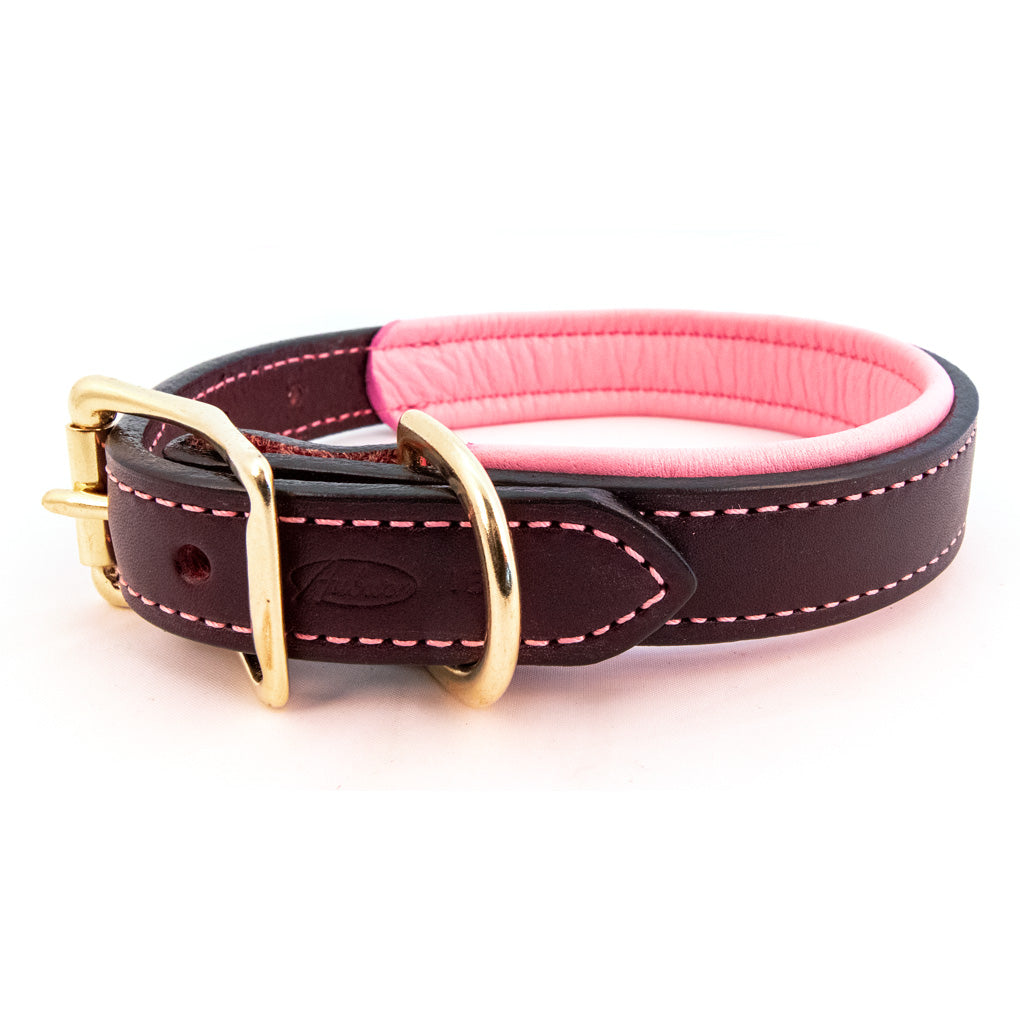 Padded leather dog collar best sale