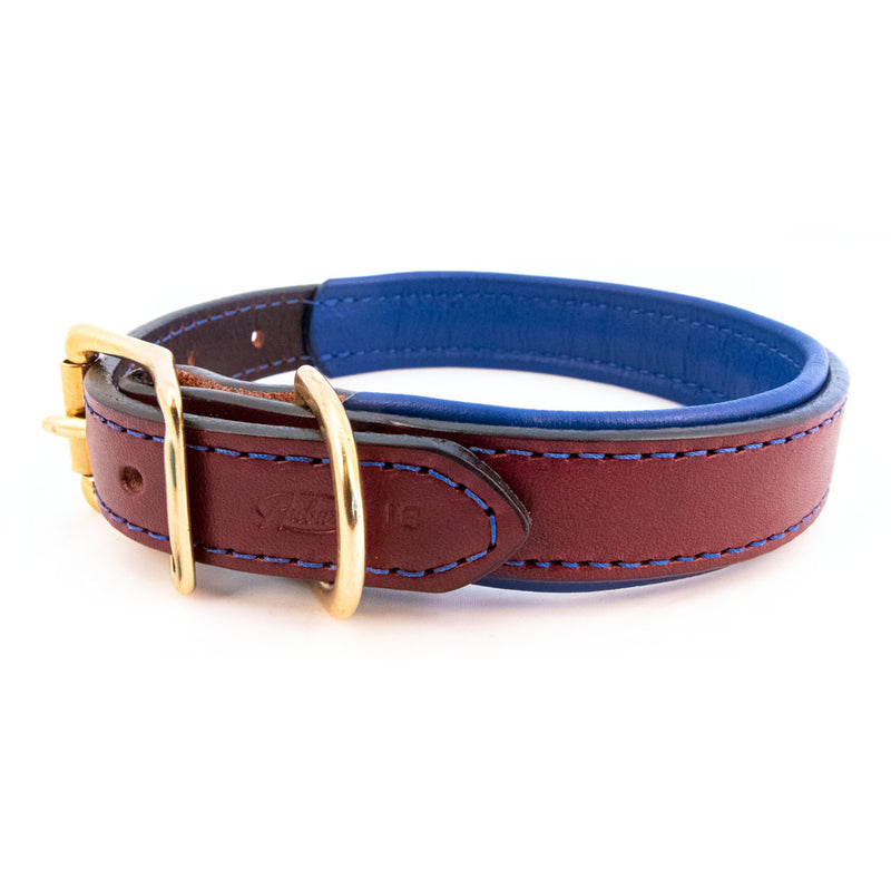 Burgundy Padded Leather Collars with Accent Colors