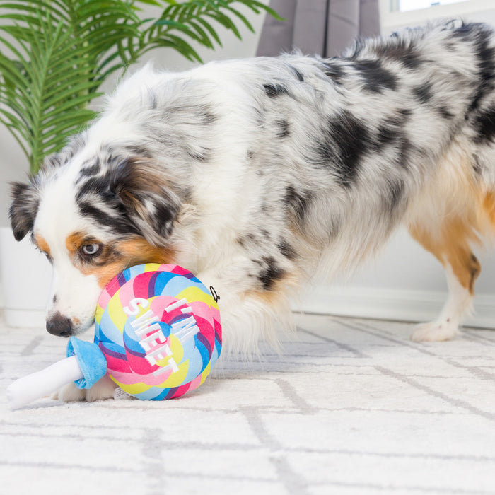 I'm Sweet Lollipop Plush Dog Toy