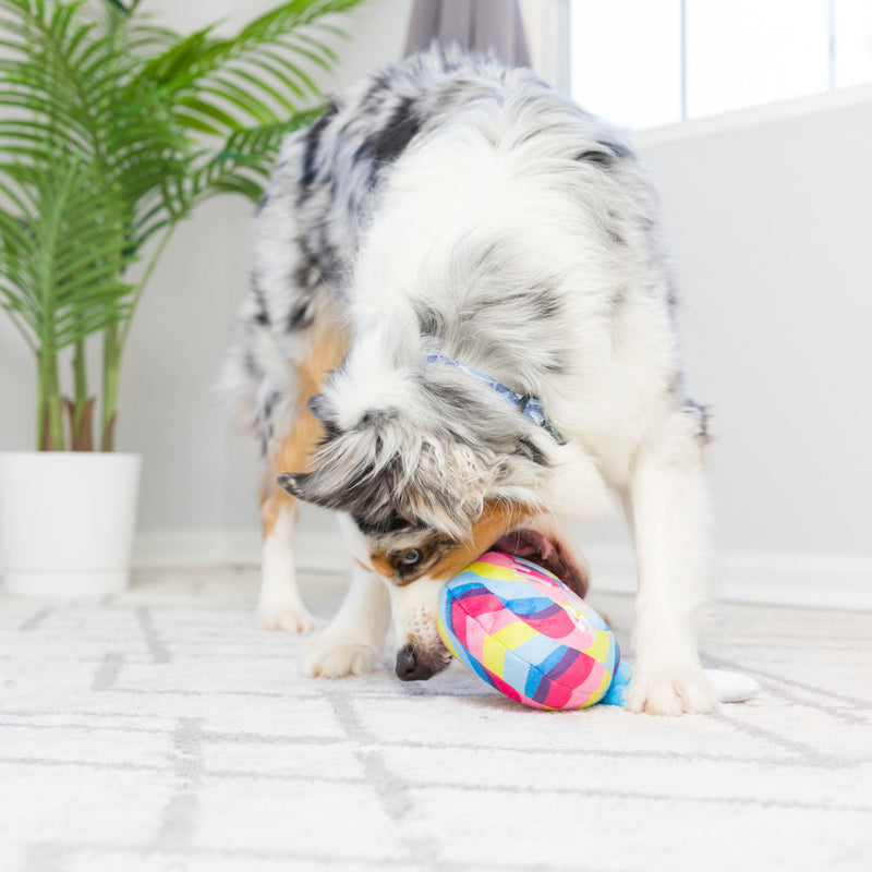 I'm Sweet Lollipop Plush Dog Toy