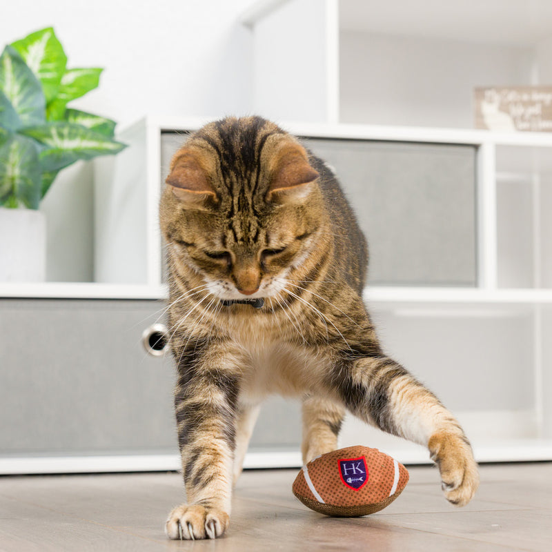 HK Football Plush Cat Toy