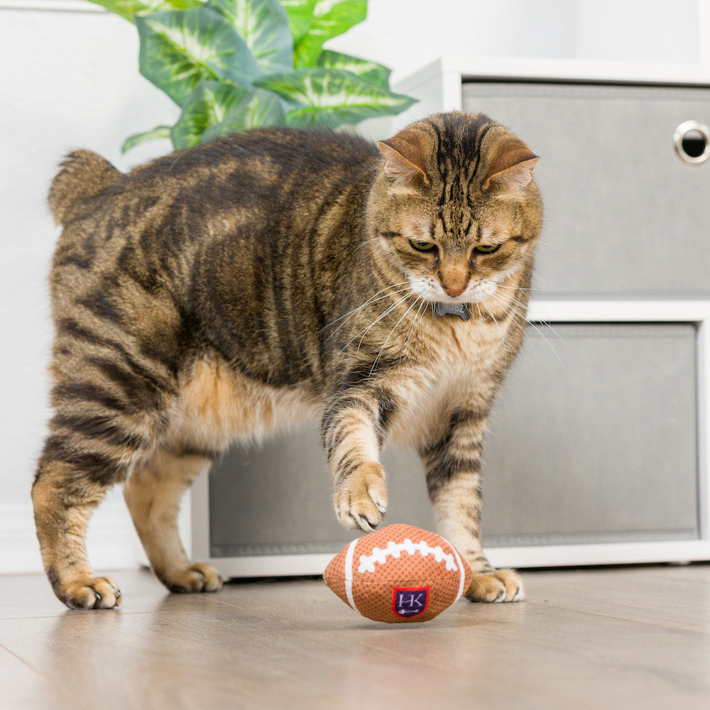 HK Football Plush Cat Toy