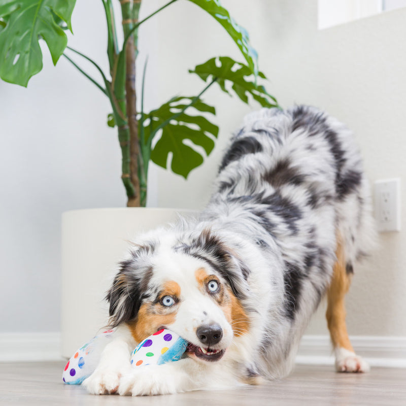 It's My Barkday Bone Plush Dog Toy