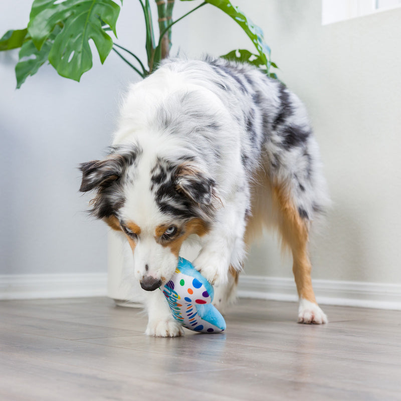 It's My Barkday Bone Plush Dog Toy